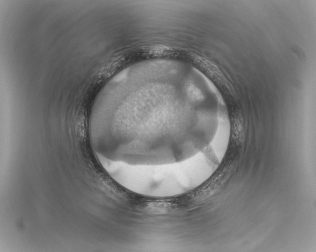 X0000115560470200912041057