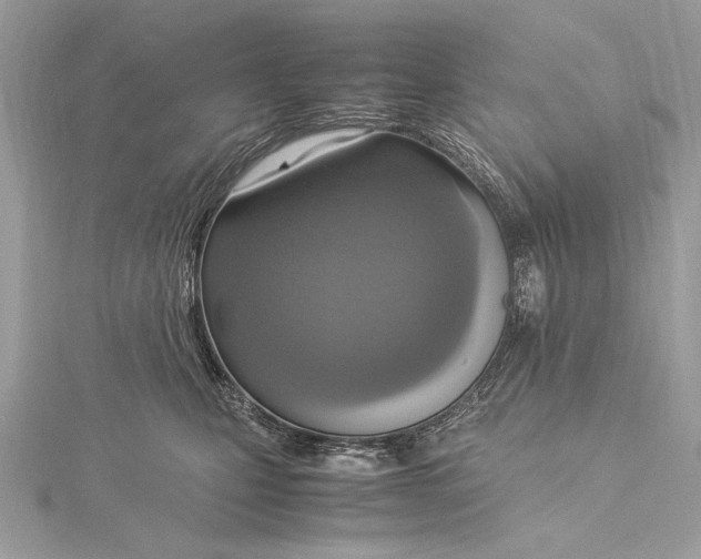 X0000115560471200912041057