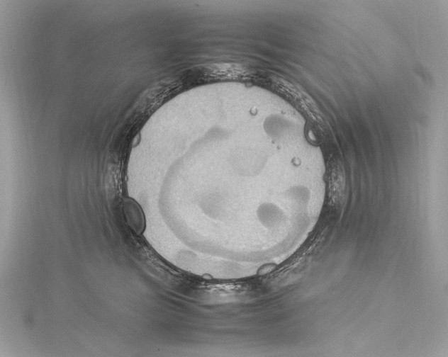 X0000115560473200912041057