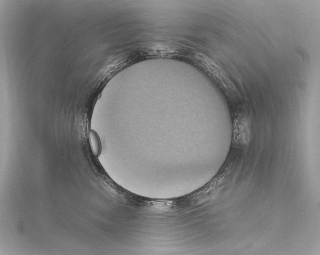 X0000115560474200912041057