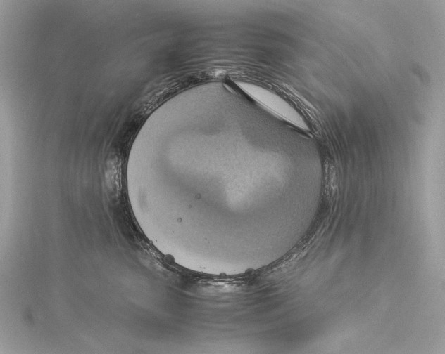 X0000115560475200912041057