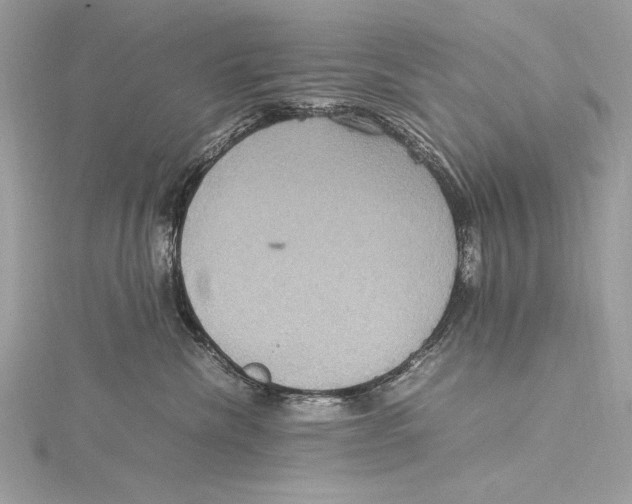 X0000115560476200912041057