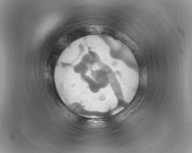 X0000115560477200912041057