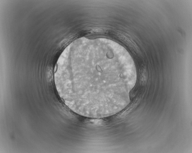 X0000115560478200912041057