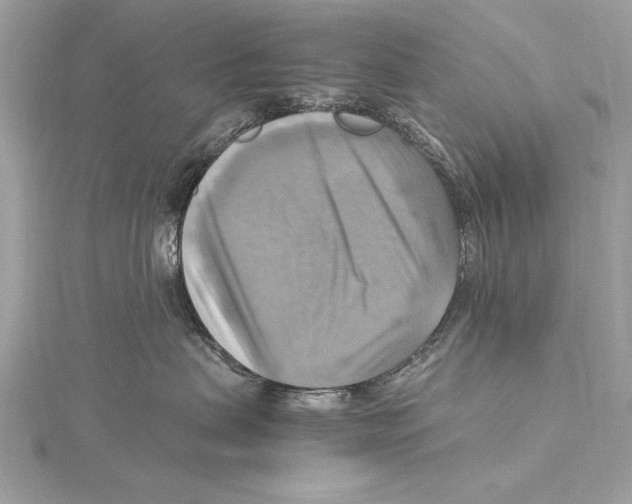 X0000115560479200912041057