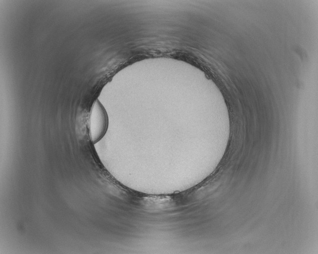 X0000115560480200912041057