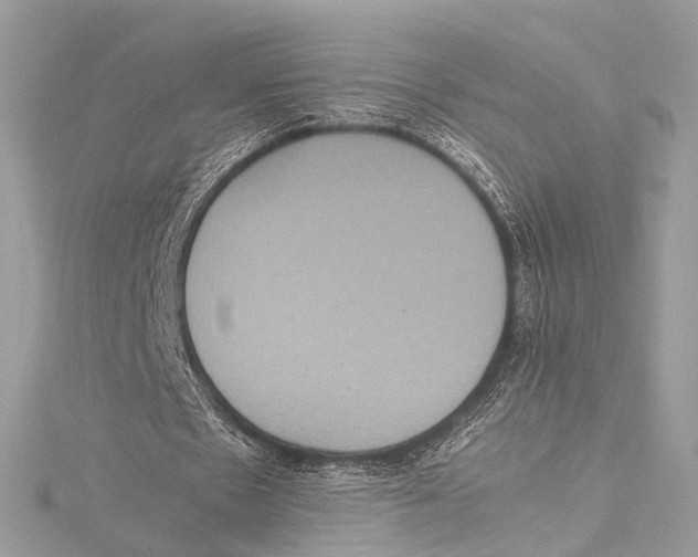 X0000115560481200912041056