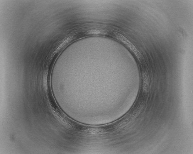 X0000115560482200912041056