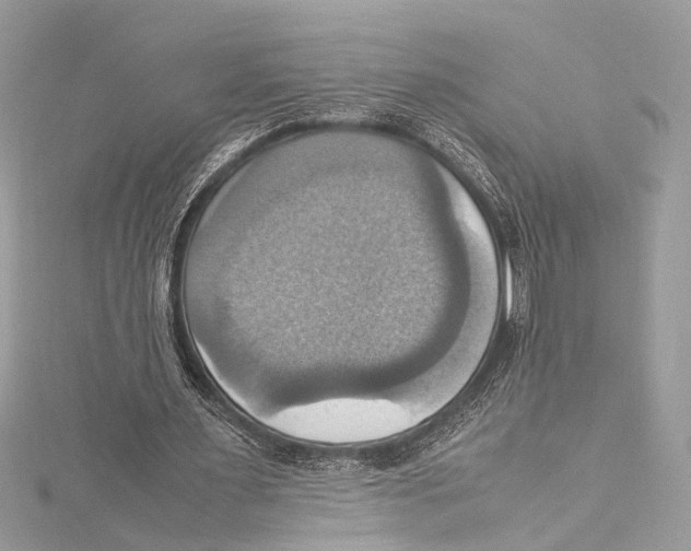 X0000115560483200912041056