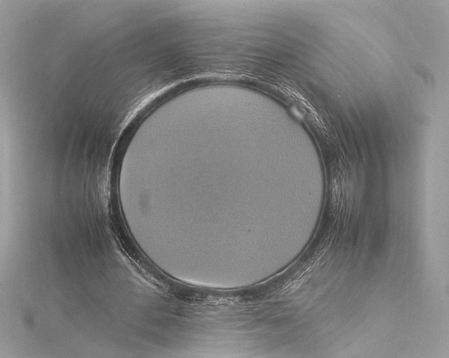 X0000115560484200912041056