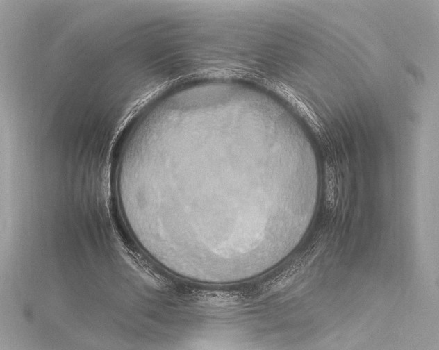 X0000115560486200912041056