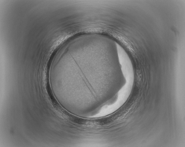 X0000115560487200912041056