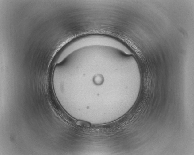 X0000115560488200912041056