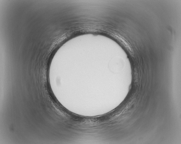 X0000115560489200912041056