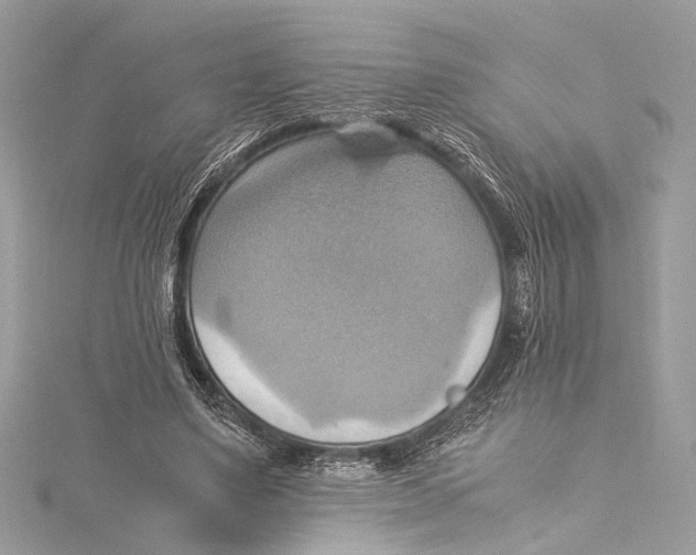 X0000115560491200912041056