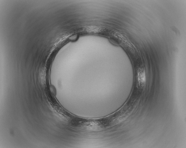 X0000115560492200912041056