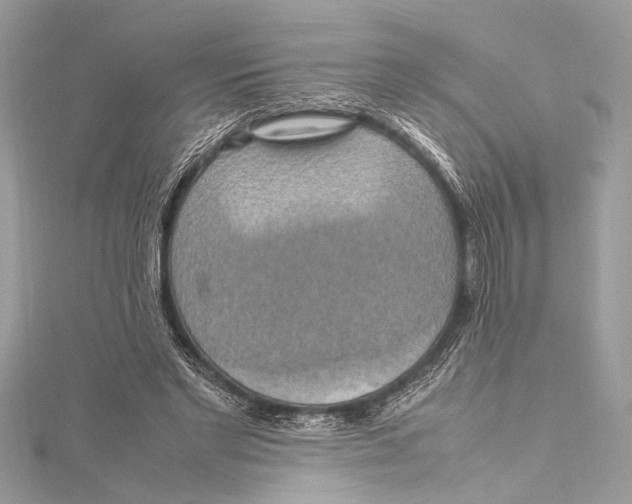 X0000115560493200912041056