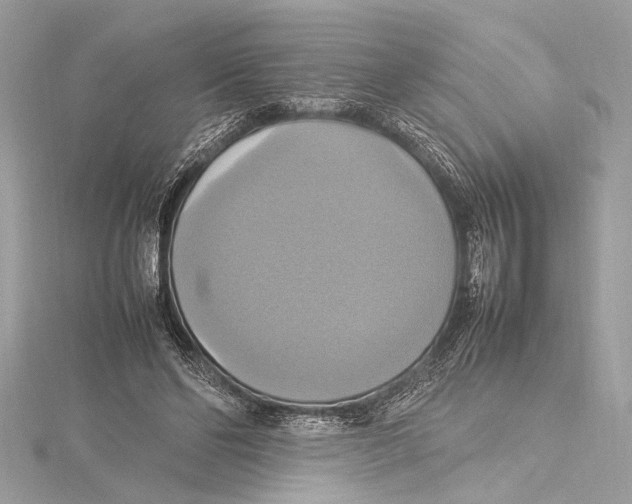 X0000115560494200912041056