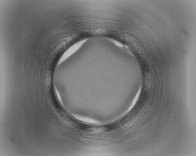 X0000115560495200912041056