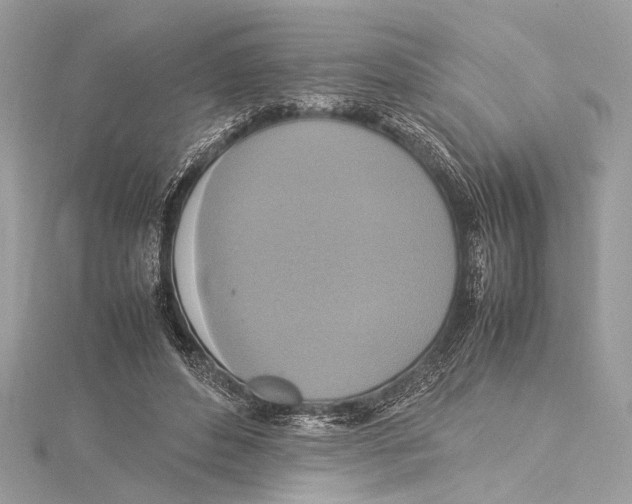 X0000115560496200912041056