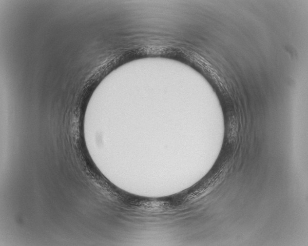 X0000115560497200912041056