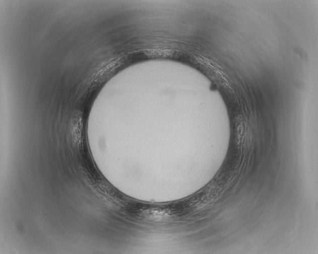 X0000115560498200912041056