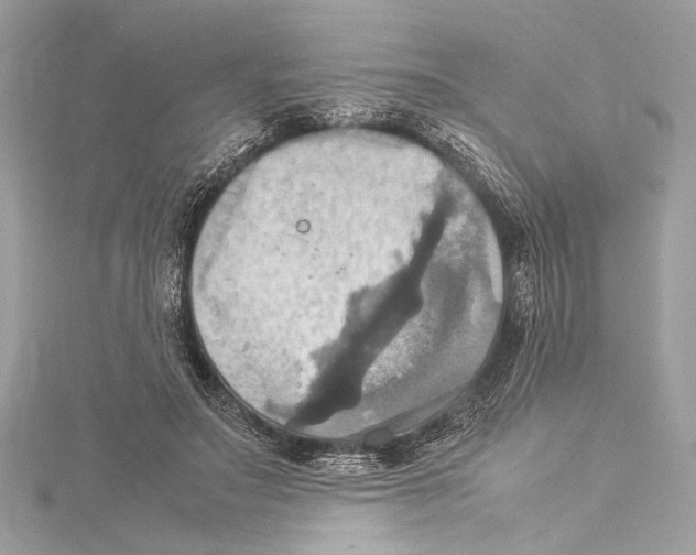 X0000115560499200912041056