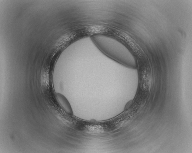 X0000115560500200912041056