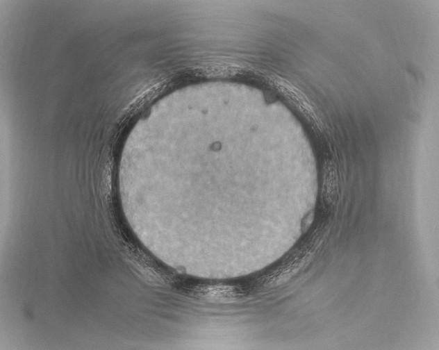 X0000115560501200912041056