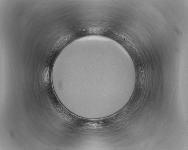 X0000115560502200912041056