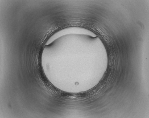 X0000115560504200912041056