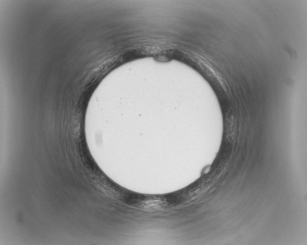 X0000115560505200912041056