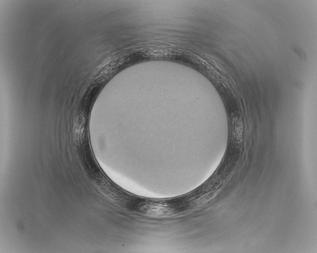 X0000115560507200912041056