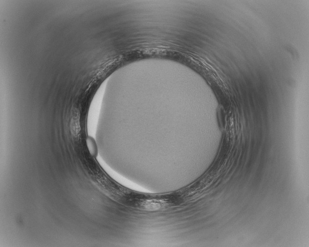 X0000115560508200912041056