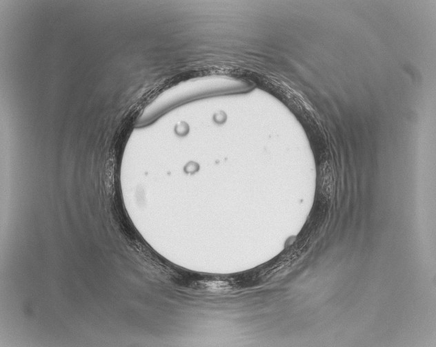 X0000115560509200912041056