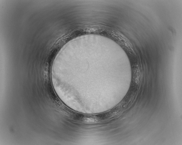 X0000115560510200912041056