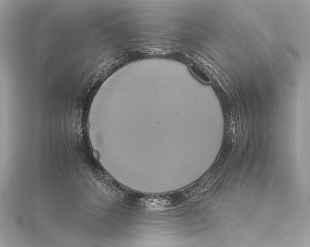 X0000115560512200912041056