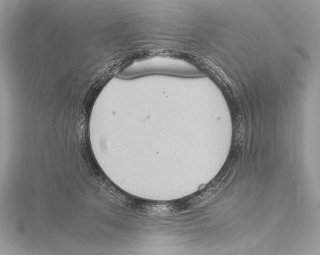 X0000115560513200912041056