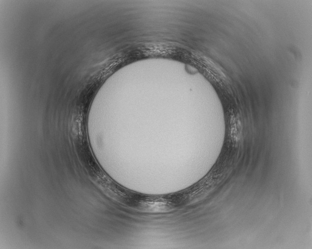 X0000115560514200912041056