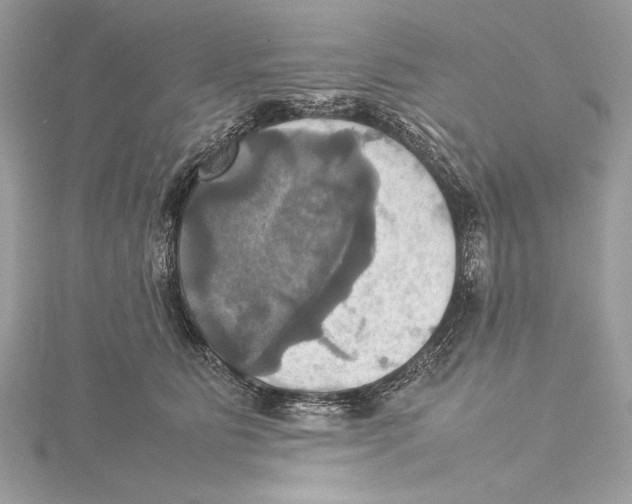 X0000115560515200912041056