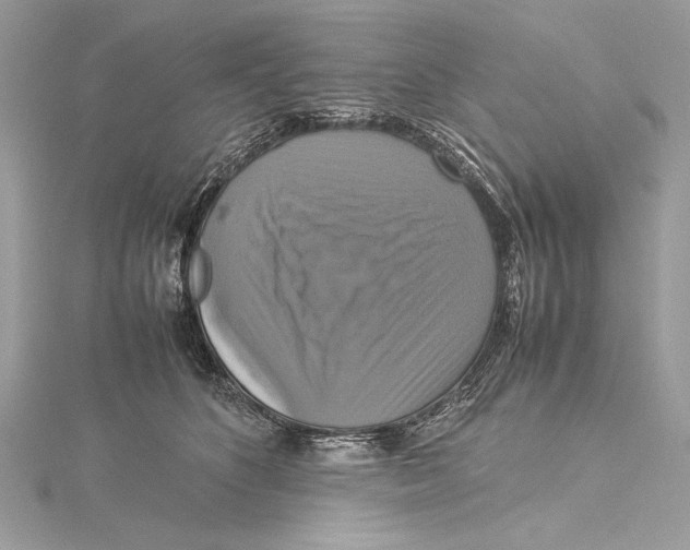 X0000115560516200912041056