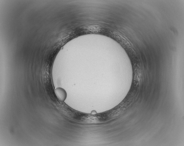 X0000115560518200912041056