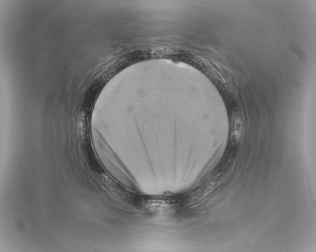 X0000115560519200912041056