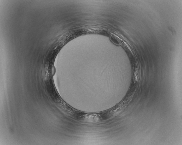 X0000115560520200912041056