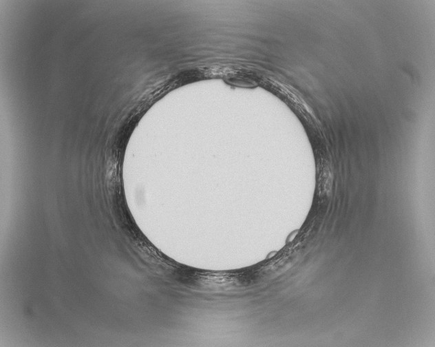 X0000115560521200912041056