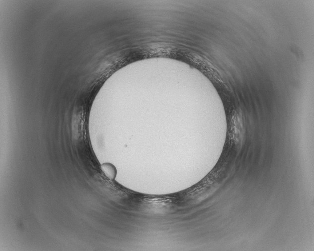 X0000115560522200912041056