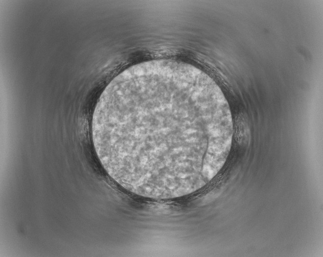 X0000115560523200912041056