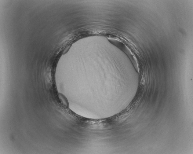 X0000115560524200912041056