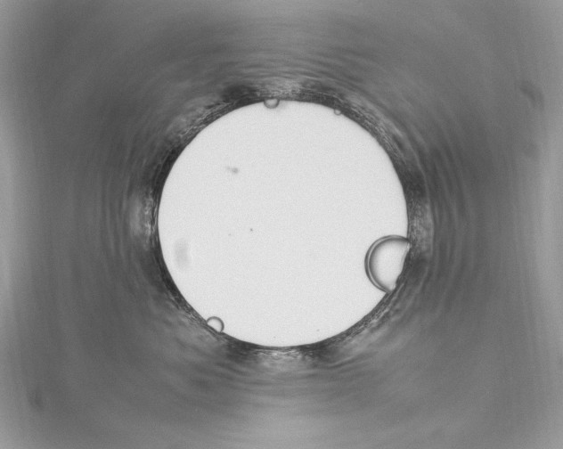 X0000115560525200912041056