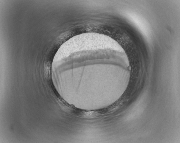 X0000115560527200912041056